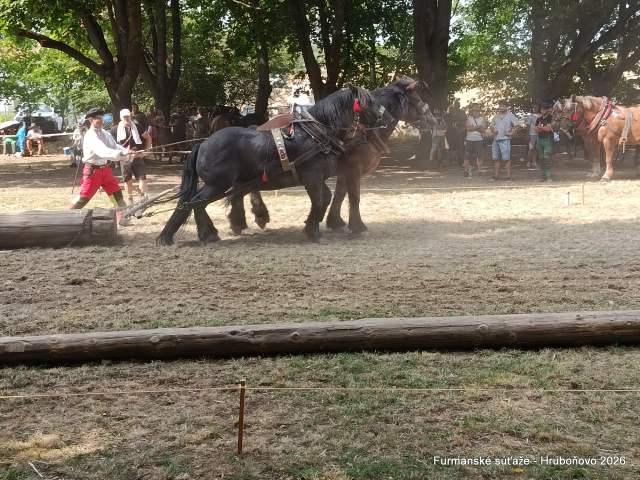 IMG_20260801_160158